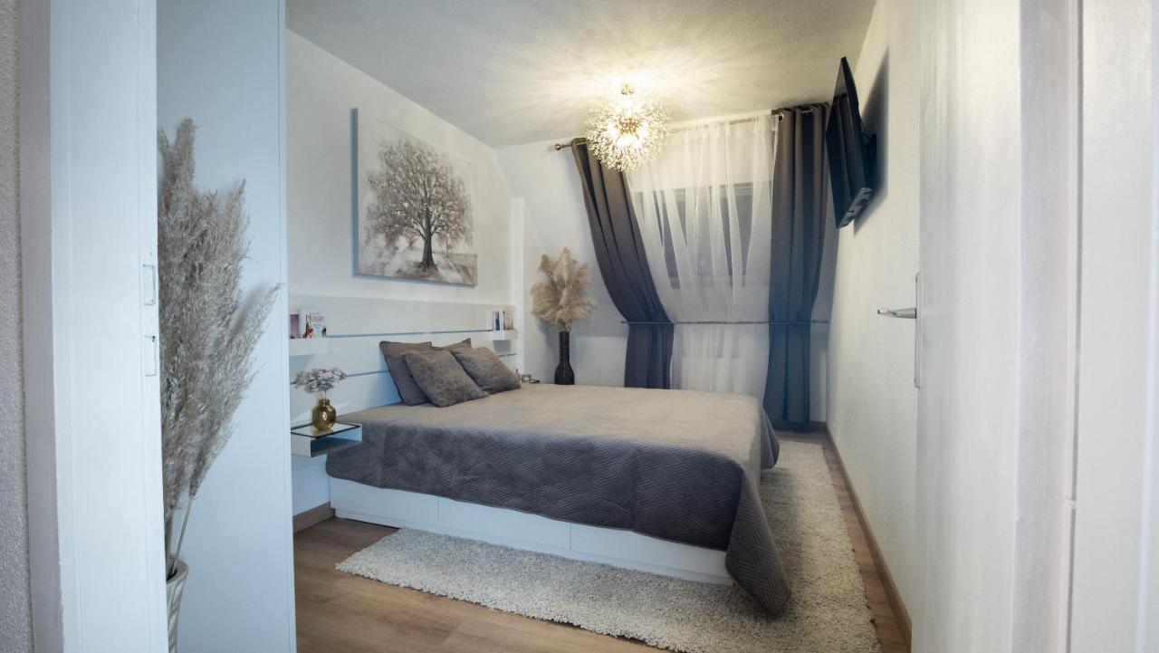 Superbe Appartement Au Coeur Du Colmar Exteriör bild