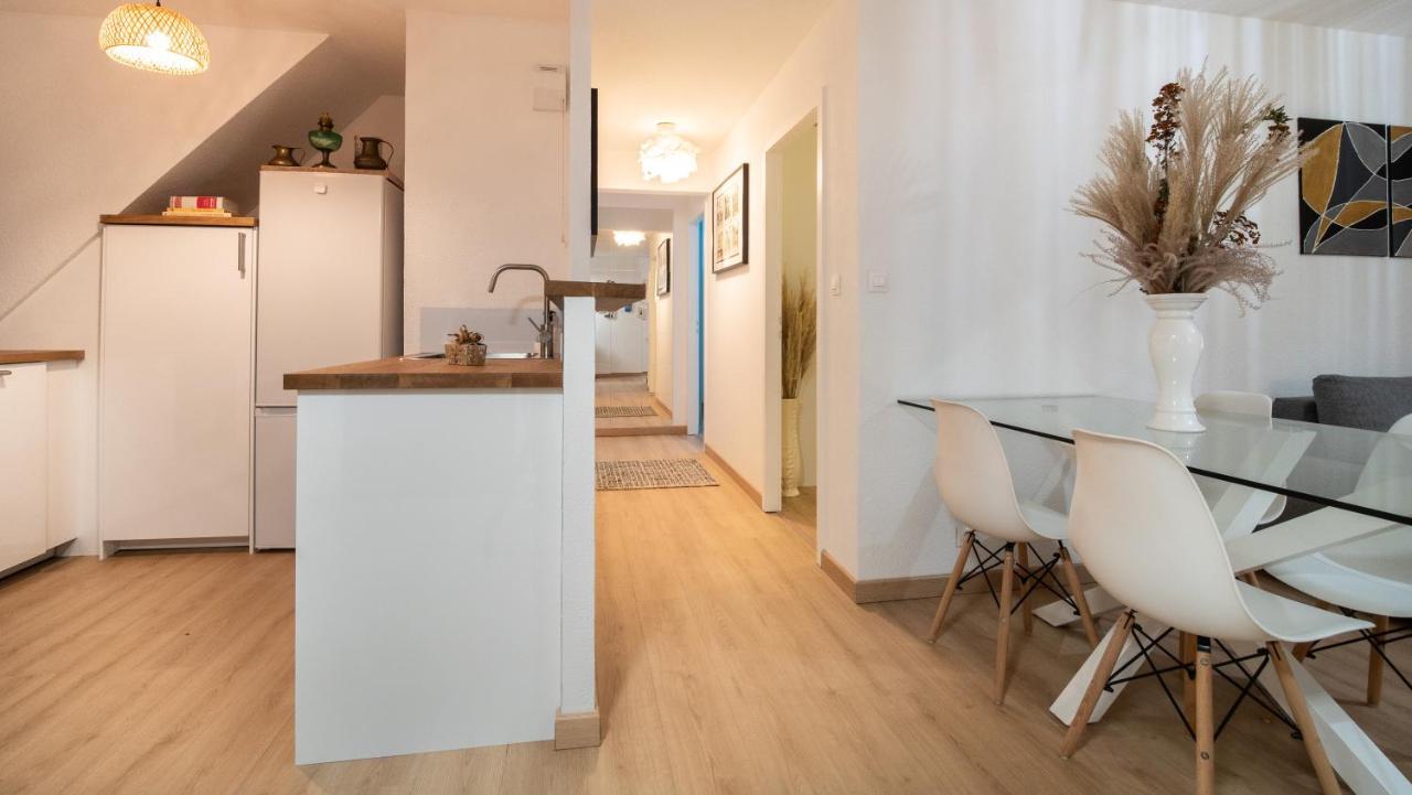 Superbe Appartement Au Coeur Du Colmar Exteriör bild